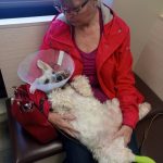 Sue and dog